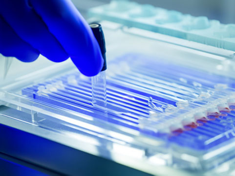 �t������